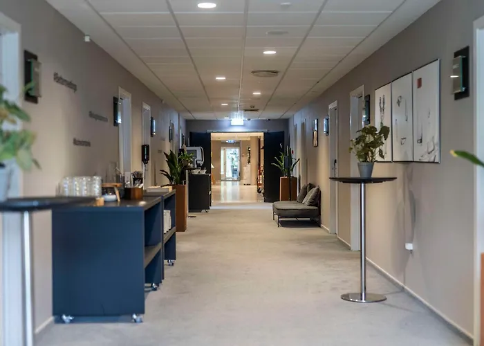 科灵斯堪迪克酒店 3* 科灵