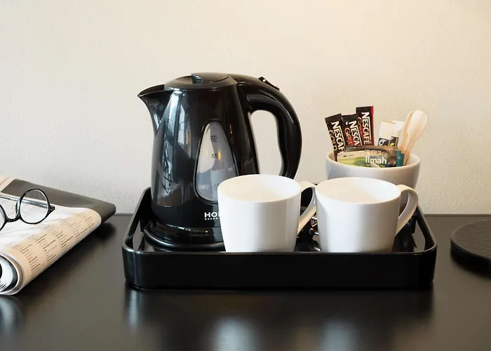 科灵斯堪迪克酒店 酒店 3*