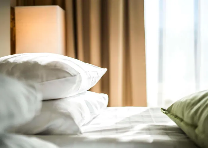 科灵斯堪迪克酒店 酒店 科灵