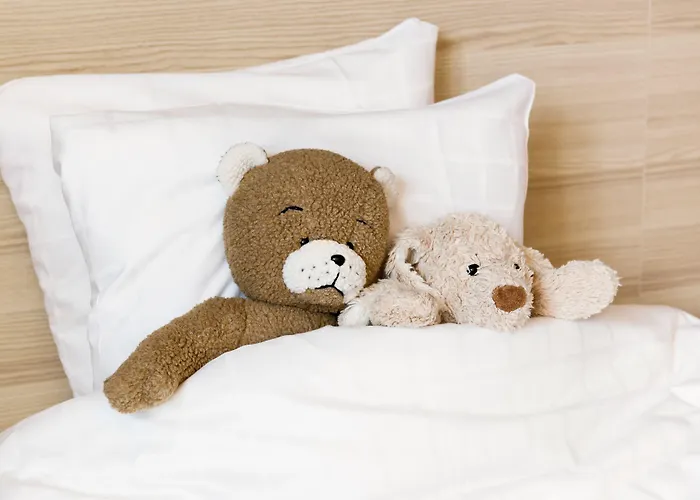 科灵斯堪迪克酒店 3*