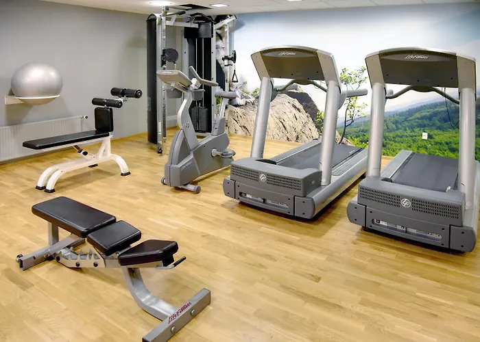 科灵斯堪迪克酒店 3* 科灵