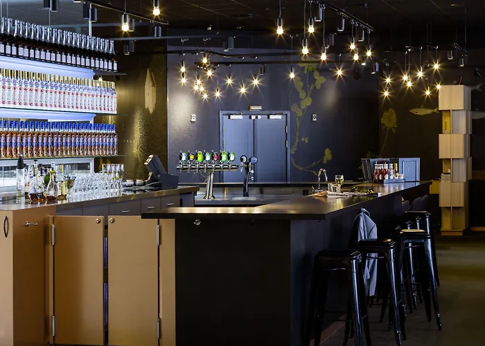 科灵斯堪迪克酒店 3* 科灵